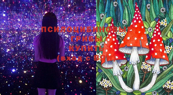 соль курить ск Алзамай
