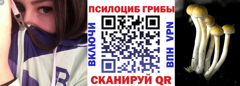 Галлюциногенные грибы Cubensis  Лагань 