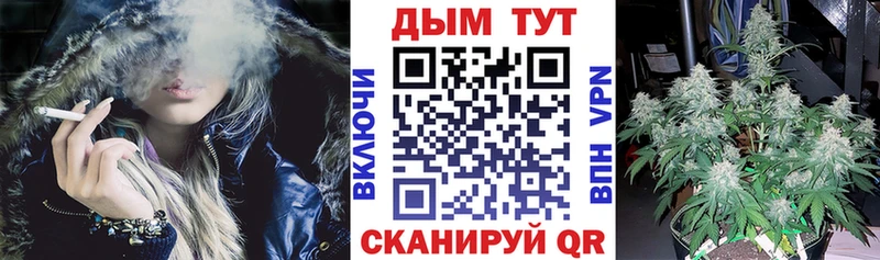 Бошки Шишки гибрид  darknet какой сайт  Лагань 